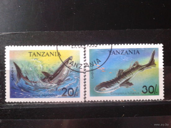 Танзания 1993 Акулы