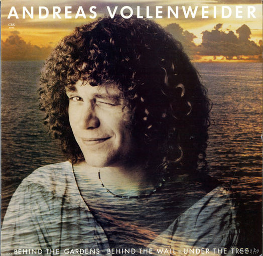 Andreas Vollenweider, ... Behind The Gardens - Behind The Wall - Under The Tree ..., LP 1981
