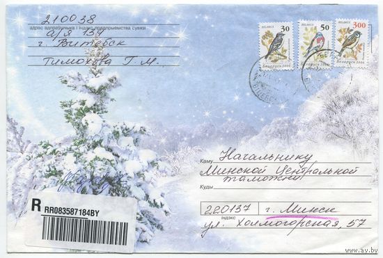 2007. Конверт, прошедший почту "Ель в снегу" (размер 198x134 мм)