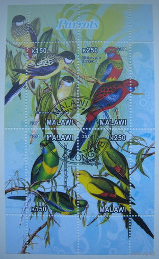 Марки Малави 2011 г. Попугаи (g)