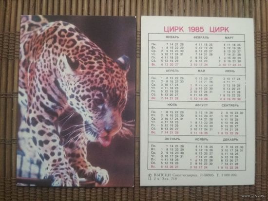 Карманный календарик.1985 год. Цирк. Леопард