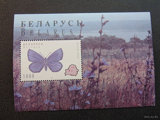Беларусь 1996 год. Бабочки.
