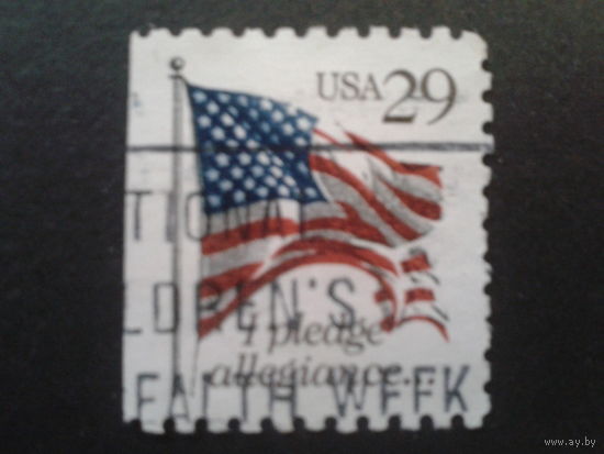 США 1993 стандарт, флаг
