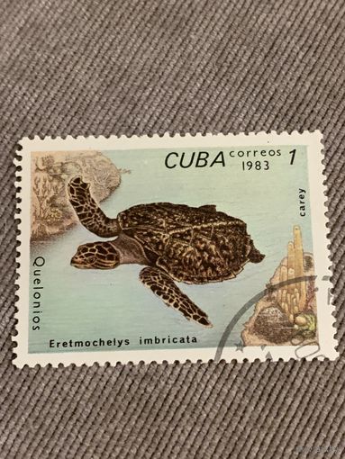 Куба 1983. Черепахи. Eretmochelys imbricata. Марка из серии