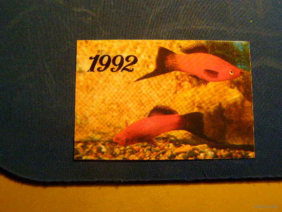 Календарик, 1992. Рыбки --- Меченосец  красный