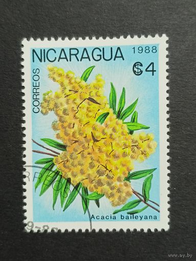 Никарагуа 1988. Цветы