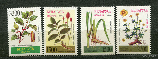 Лекарственные растения. Беларусь. 1996. Полная серия 4 марки. Чистые