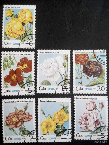 Куба 1979 г. Розы. Флора, полная серия из 7 марок #0071-Ф1
