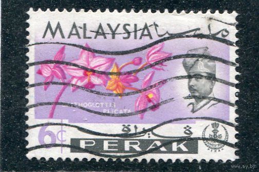 Малазийские штаты. Перак. Орхидеи