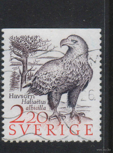 Швеция 1988 Природа Орлан-белохвост Стандарт #1479