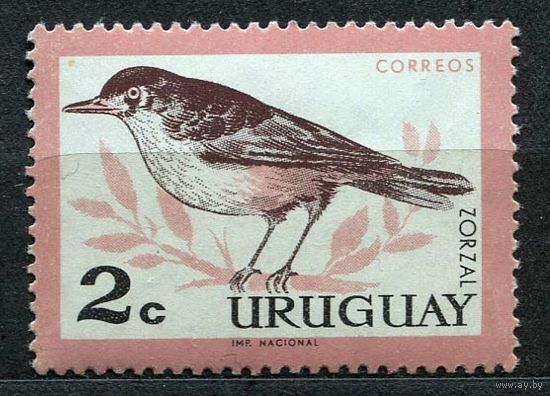 Фауна. Птица. Уругвай. 1963. Чистая