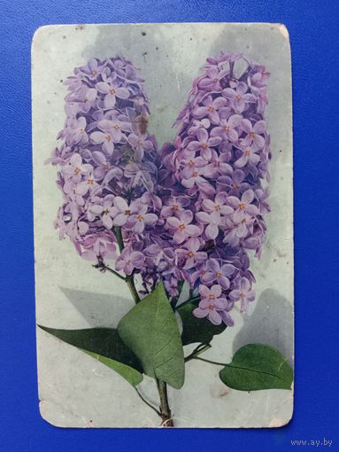 Антикварная открытка 1914 Прошла почту.  Сделана в Швейцарии, отправлена в Чаусы.