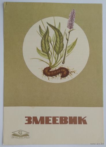 Буклет главкоопторгрекламы ,,змеевик,, 1969 г
