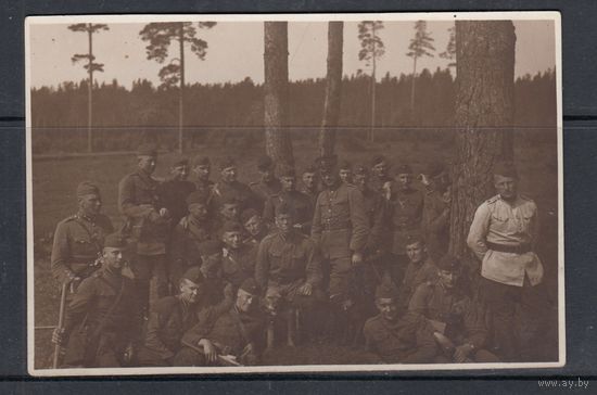 Военные Униформа Армия Собака до 1940  Литва или Латвия ? Почтовая Карточка Фотооткрытка Открытка Фото 1 шт