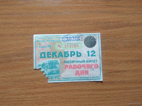 Проездной единый месячный билет рабочего дня. Автобус. Беларусь, Лида, декабрь месяц 2020 года.