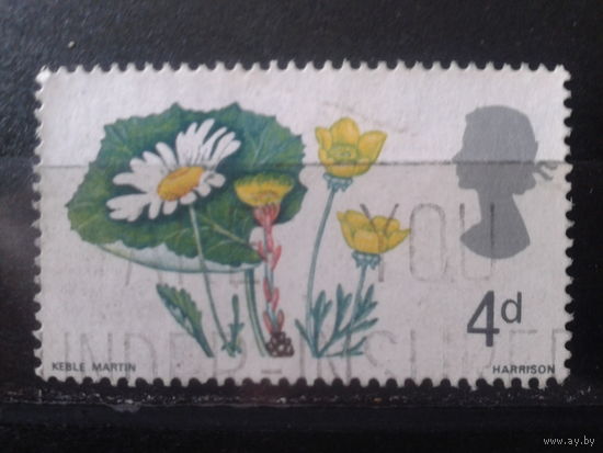 Англия 1967 Полевые цветы
