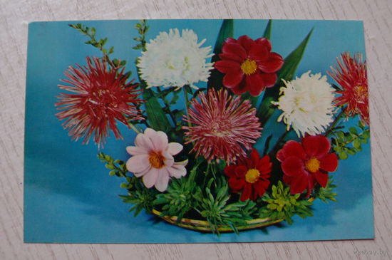 Круцко Б., Композиция из цветов 1983, чистая (9*14 см).