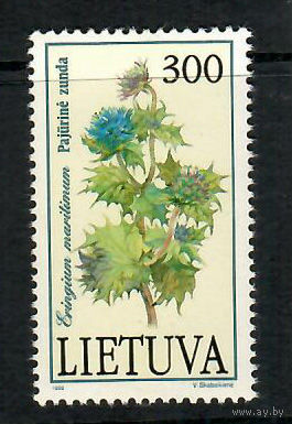 Растения из Красной книги Литвы