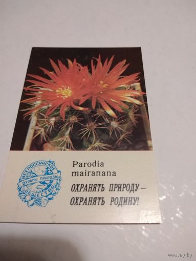 Календарики 1986г. Цветущие кактусы. Цена за 7 единиц.