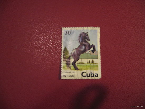 Марка Лошадь 1981 год Куба