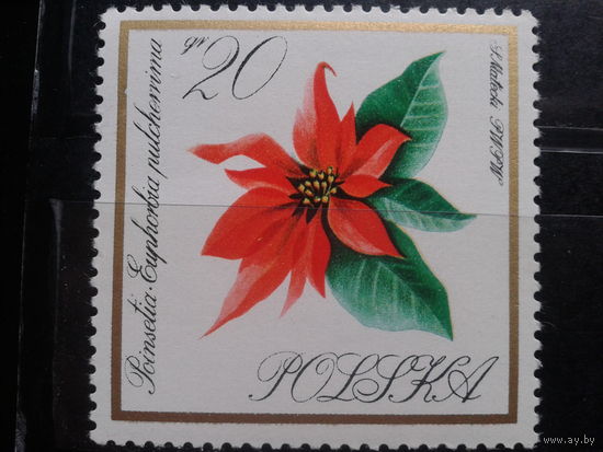 Польша 1966 Цветы **