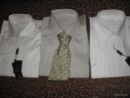Фирменные рубашки и галстуки Platin.
