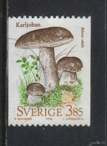 Швеция 1996 Природа Белый гриб Стандарт #1950