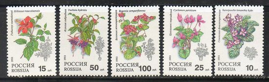 Комнатные растения Россия 1993 год (77-81) серия из 5 марок