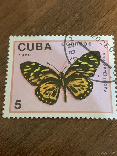 Куба 1989. Бабочки. Papilio Zagreus. Марка из серии