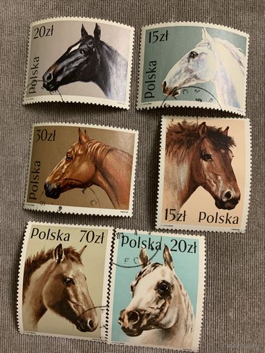 Польша 1989. Породы лошадей. Полная серия