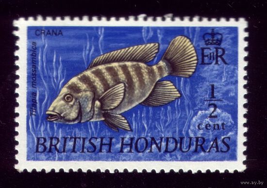 1 марка 1969 год Британский Гондурас 231