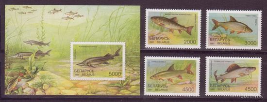 Беларусь 1997 Фауна рыбы 4м блок **