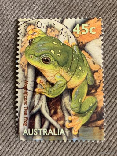 Австралия 1999. Древесная лягушка. Марка из серии