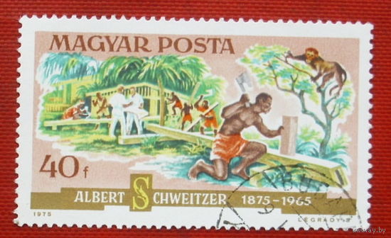 Венгрия. 100-летие со дня рождения Альберта Швейцера. ( 1 марка ) 1975 года. 2-12.