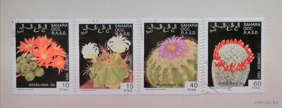 Сахара 1993 Флора. Цветы. Кактусы. 4 марки