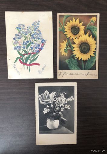 Открытки Цветы Польша 1930-е г цена за все