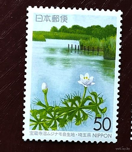 Япония, 1м/с префектура Saitame, лилии в водоеме