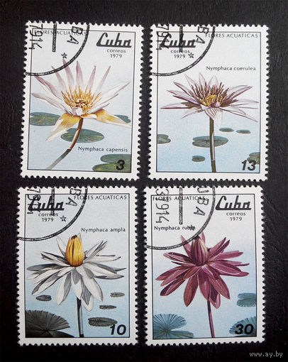 Куба 1979 г. Нимфеи (кувшинки). Флора, полная серия из 4 марок #0072-Ф1