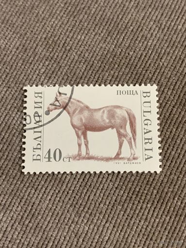 Болгария 1991. Домашний скот. Лошадь. Марка из серии