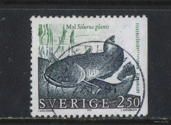 Швеция 1991 Природа Сом Стандарт #1650