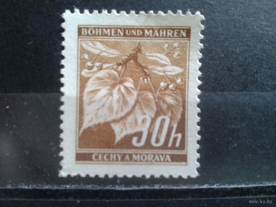 Богемия и Моравия 1941 стандарт, Листья, одиночка