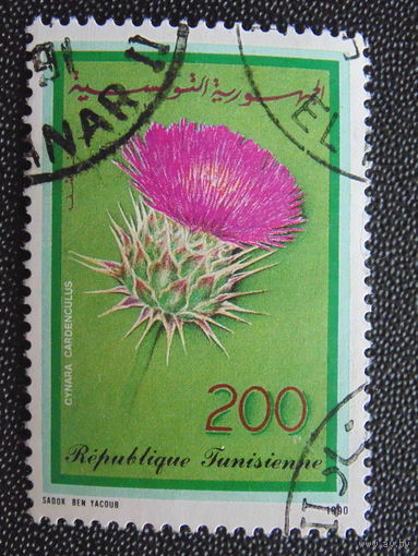 Тунис 1990 г. Цветы.