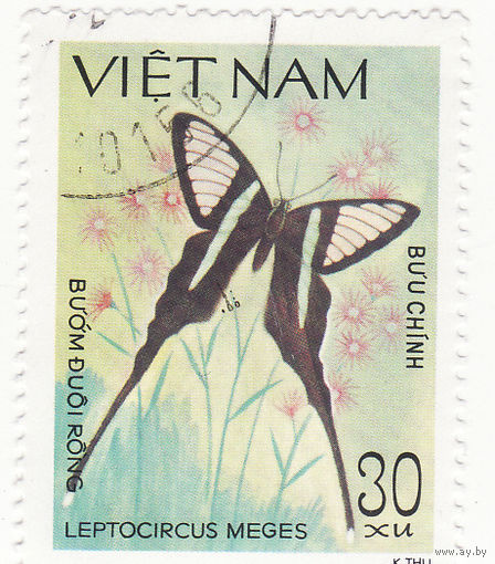 Зеленый Драконий хвост - бабочка 1983 год