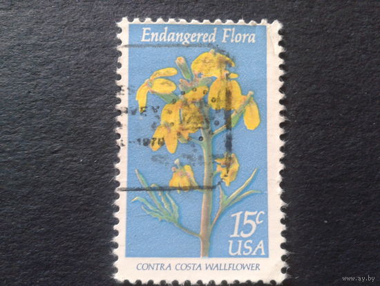 США 1979 цветы