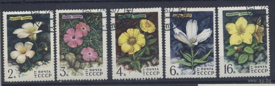 Цветы 1977 г