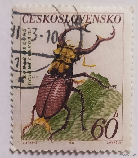 Чехословакия 1962, Жук-носорог