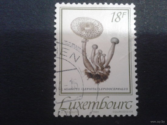 Люксембург 1991 грибы