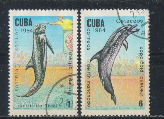 Куба Респ 1984 Дельфины #2828,2831