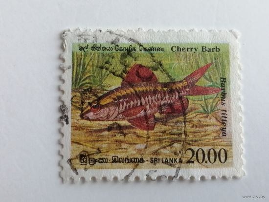 Шри Ланка 1990. Рыбы.