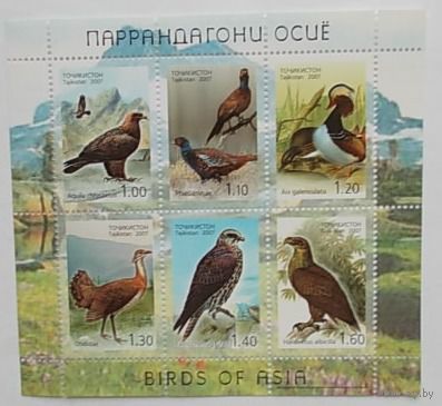 Таджикистан 2007 фауна птицы Азии МЛ бл.48
